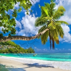 Детски фото щори